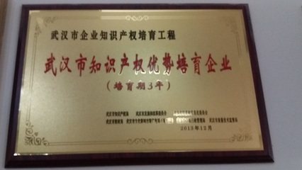 武汉市知识产权优势培育企业